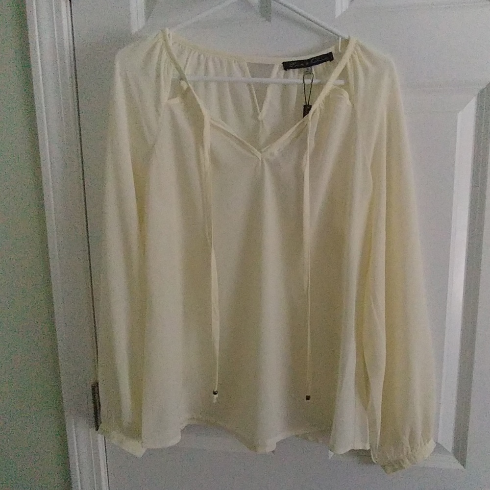 Rose & Olive sheer top